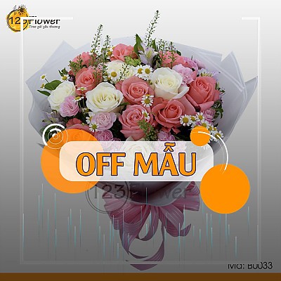 B0033 | Tình Yêu Nho Nhỏ