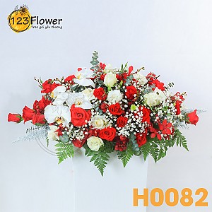 H0082