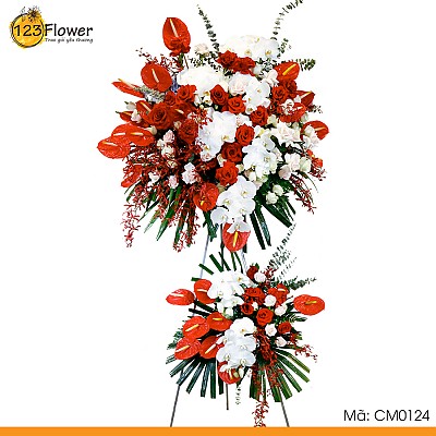 Dẫn Lối Thành Công