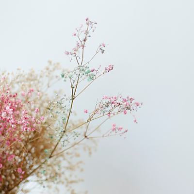 Hoa baby tự thiết kế size 30cm - 500k