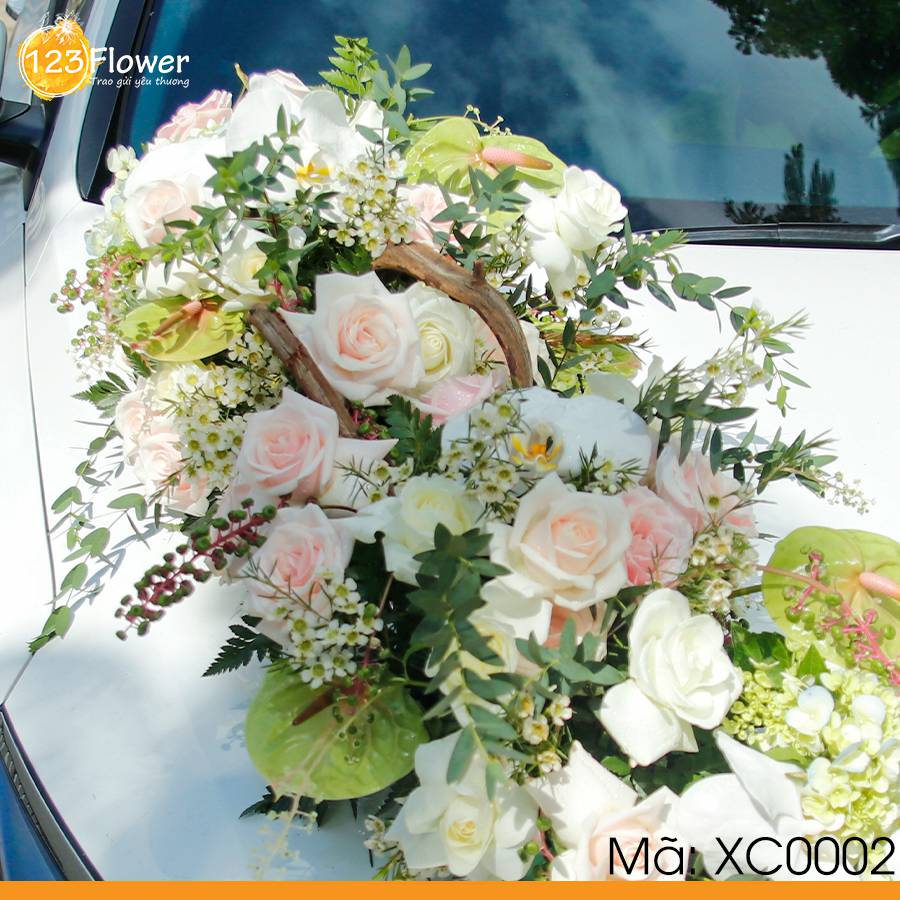 Xe cưới 2