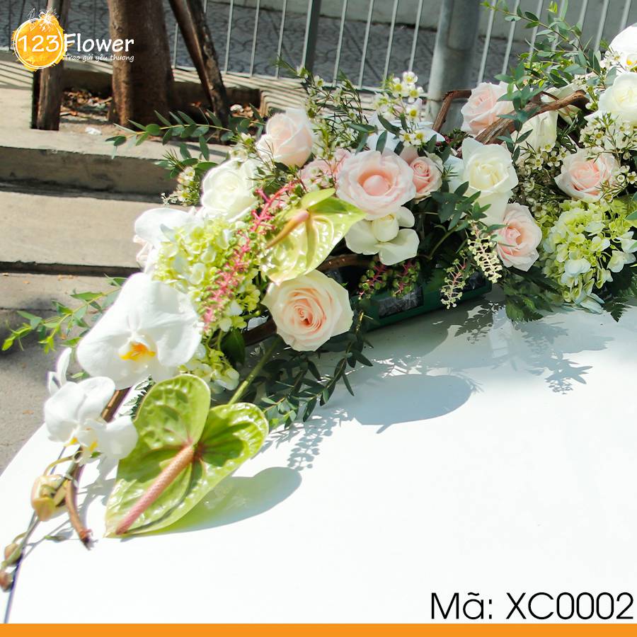 Xe cưới 2