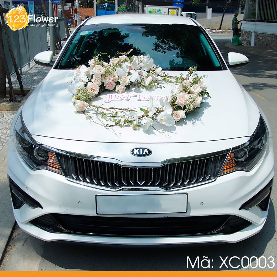 Xe cưới 3
