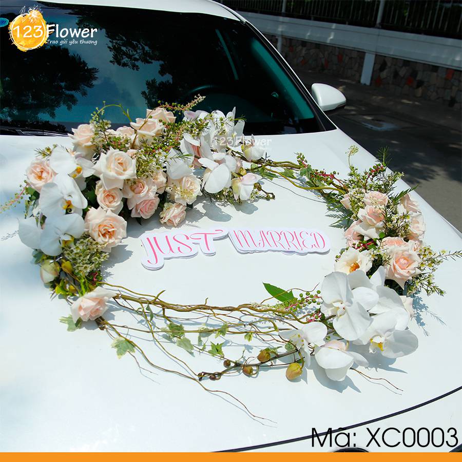 Xe cưới 3