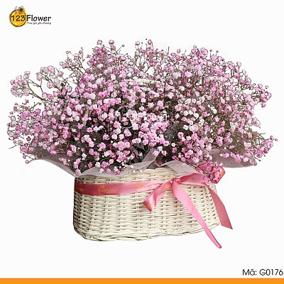 G0176 | Giỏ hoa 176