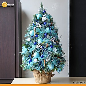 N0044 | Cây thông 44