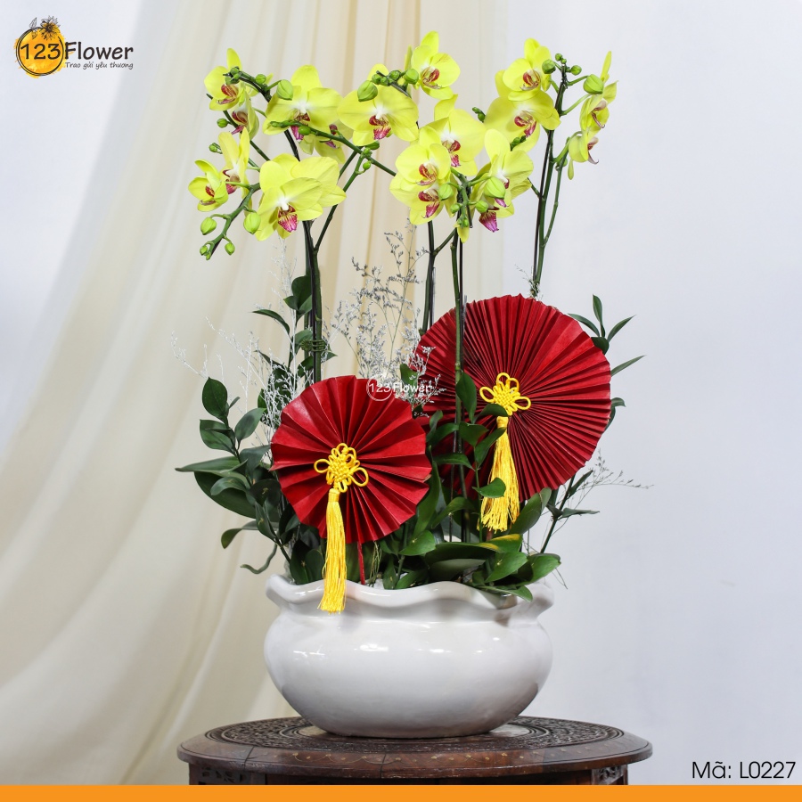 L0227 | Lan Hồ Điệp 227