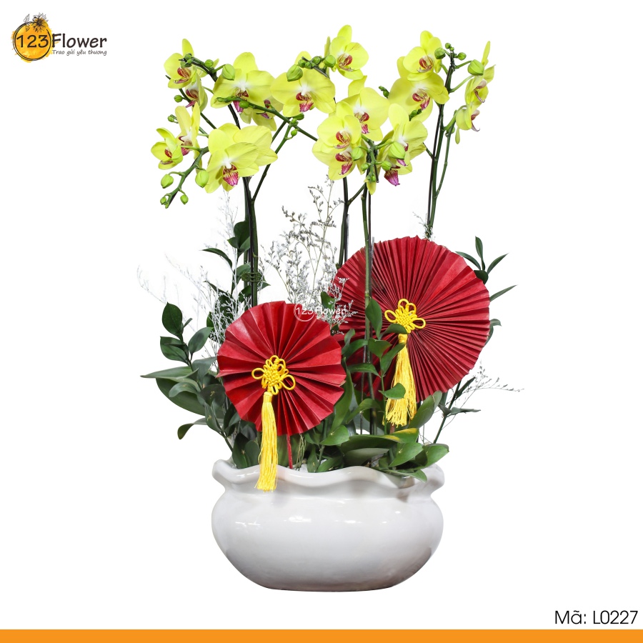 L0227 | Lan Hồ Điệp 227