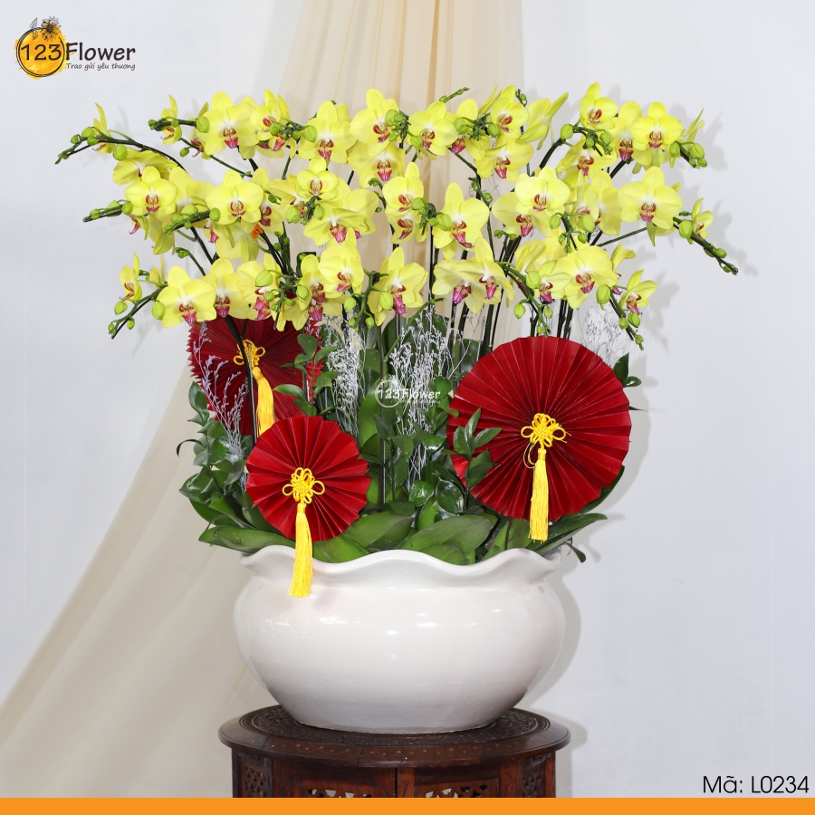 L0234 | Lan Hồ Điệp 234