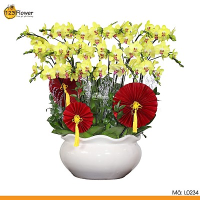 L0234 | Lan Hồ Điệp 234