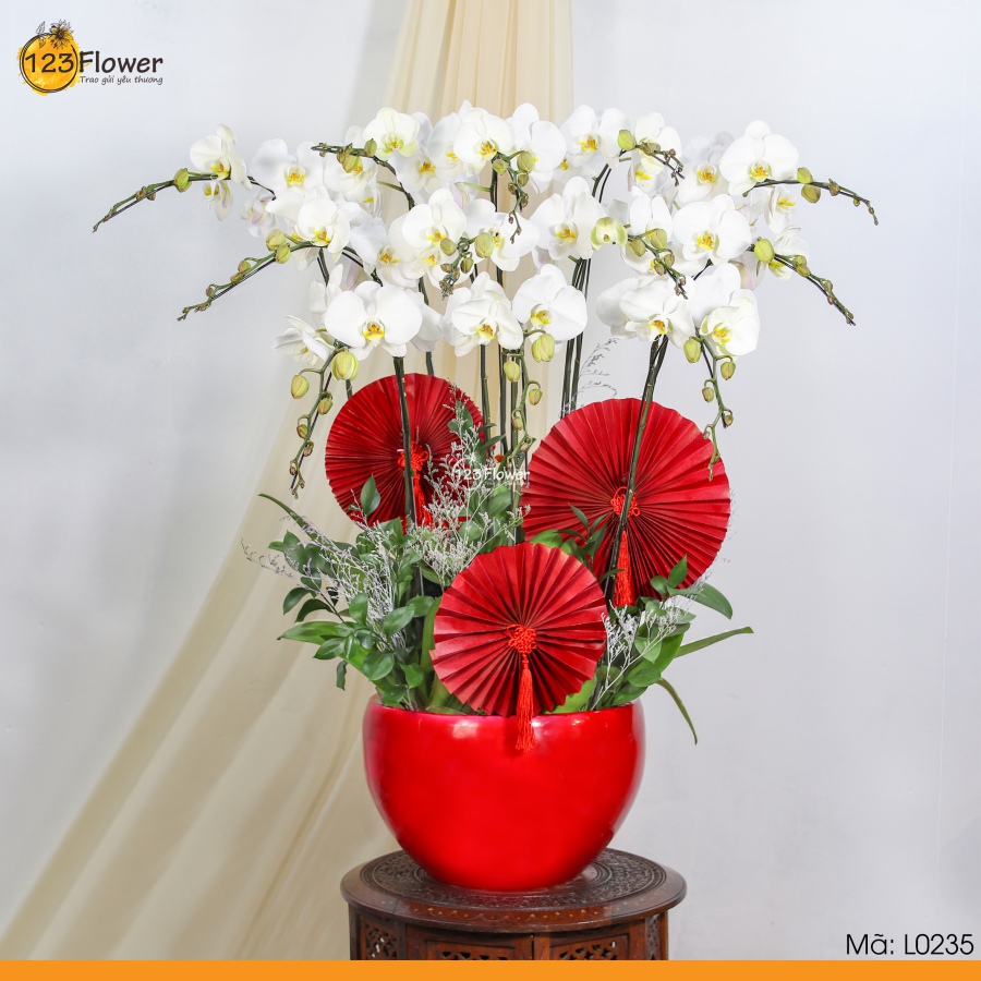 L0235 | Lan Hồ Điệp 235
