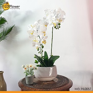 HL0057 | Hoa lụa 57