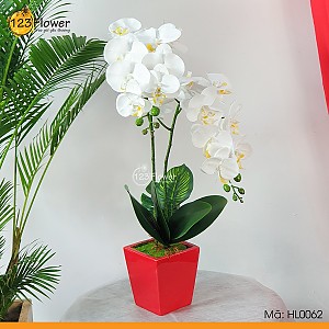 HL0062 | Hoa lụa 62