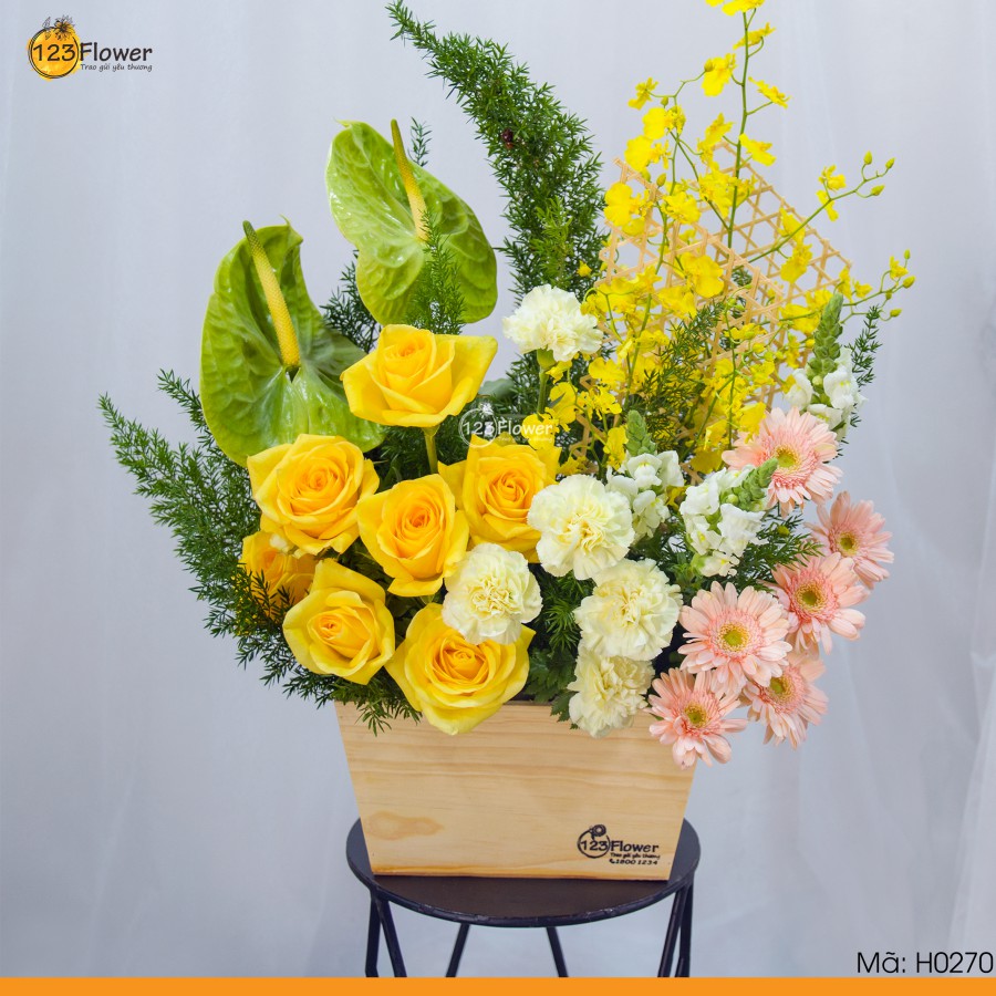 H0270 | Hộp hoa 270