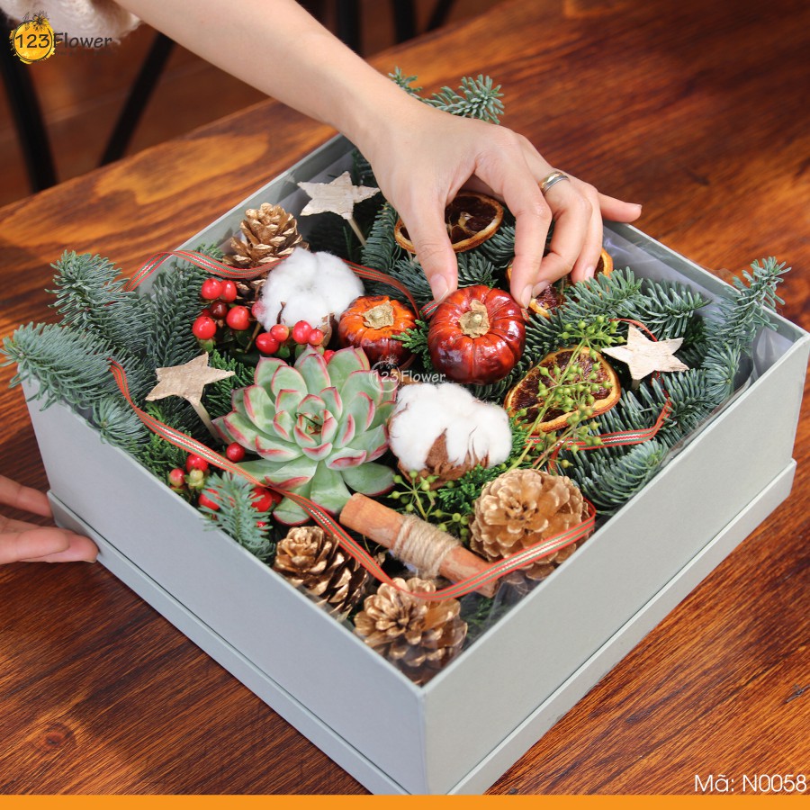 N0058 | Hộp hoa noel 58