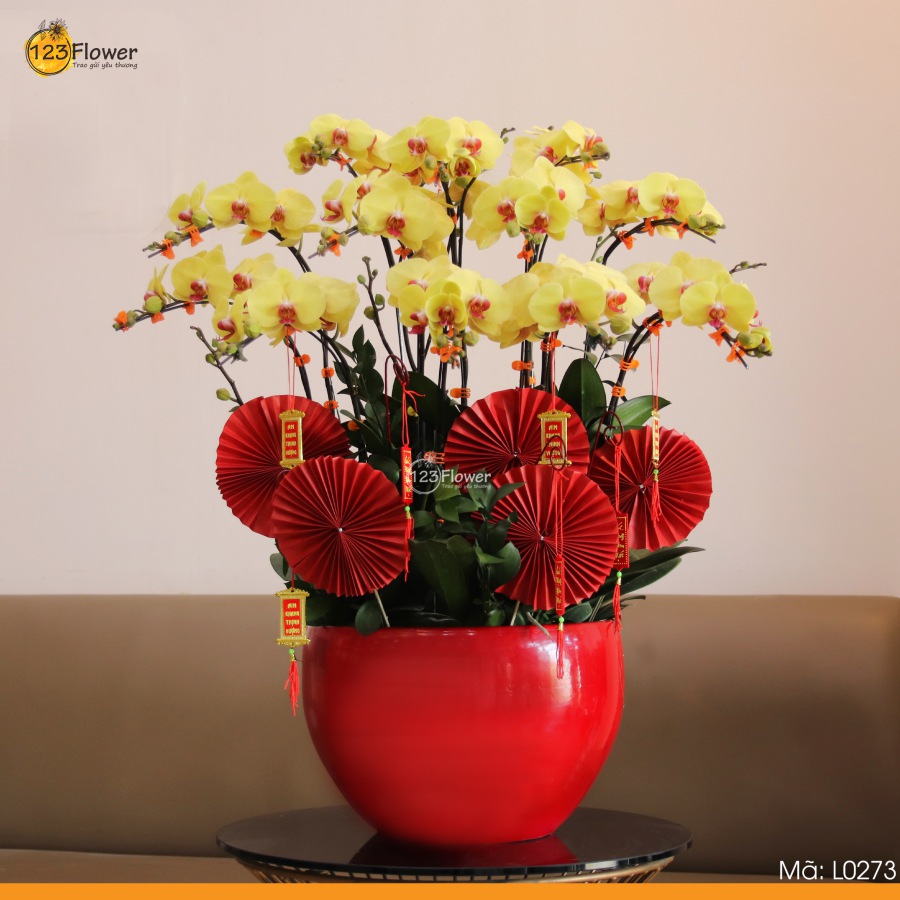 L0273 | Lan Hồ Điệp 273