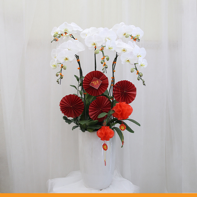 L0293 | Lan Hồ Điệp 293