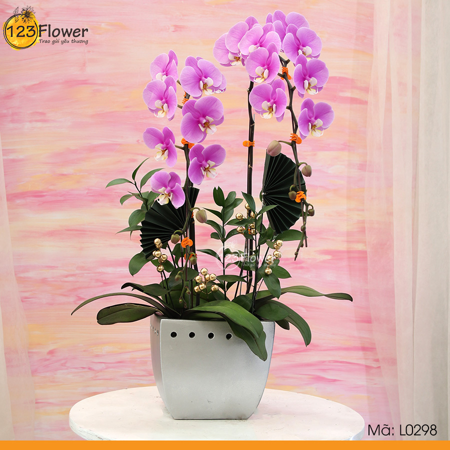 L0298 | Lan Hồ Điệp 298