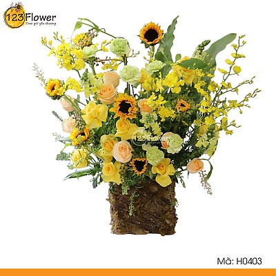 H0403 | Hộp hoa 403