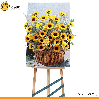 CM0240 | Kệ chúc mừng 240