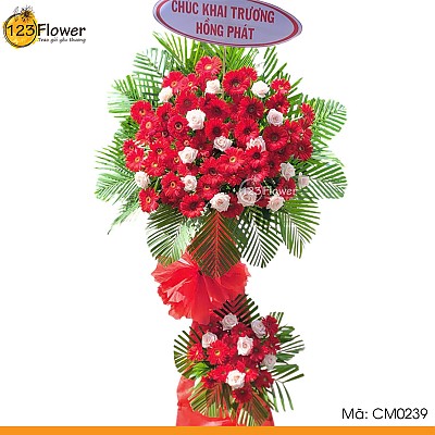 CM0239 | Kệ chúc mừng 239