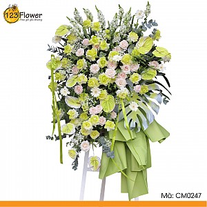 CM0247 | Kệ chúc mừng 247