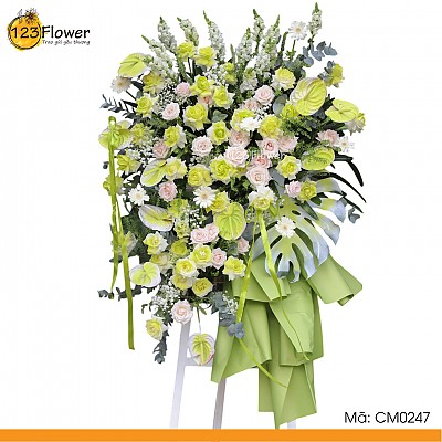 CM0247 | Kệ chúc mừng 247