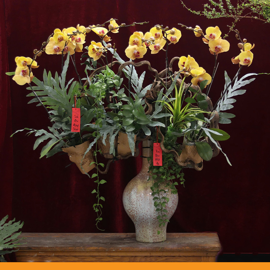 L0348 | Lan Hồ Điệp 348