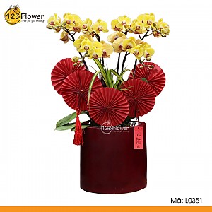 L0351 | Lan Hồ Điệp 351