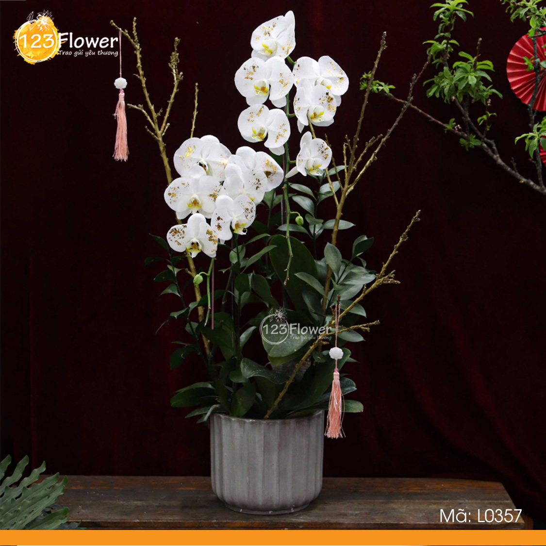 L0357 | Lan Hồ Điệp 357