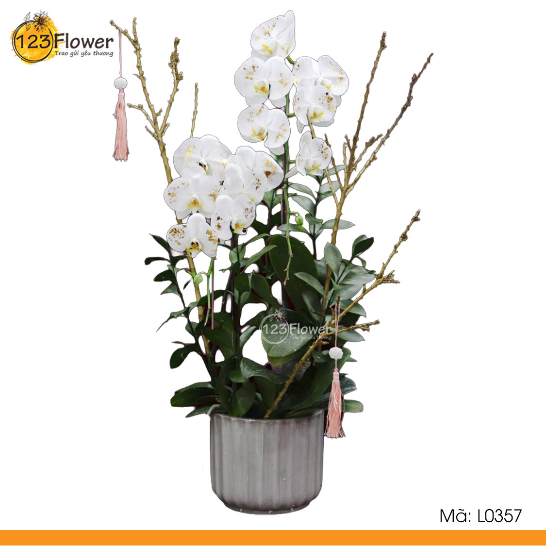 L0357 | Lan Hồ Điệp 357