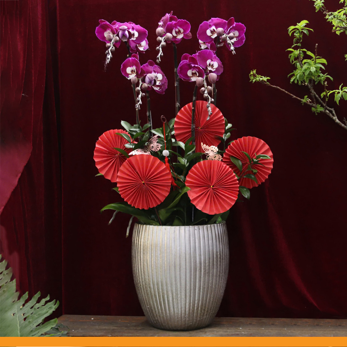 L0359 | Lan Hồ Điệp 359