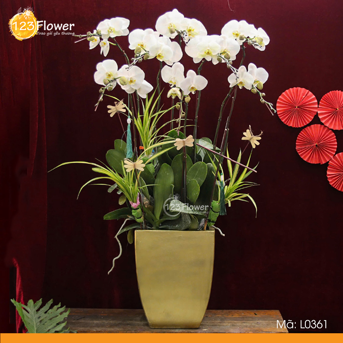 L0361 | Lan Hồ Điệp 361