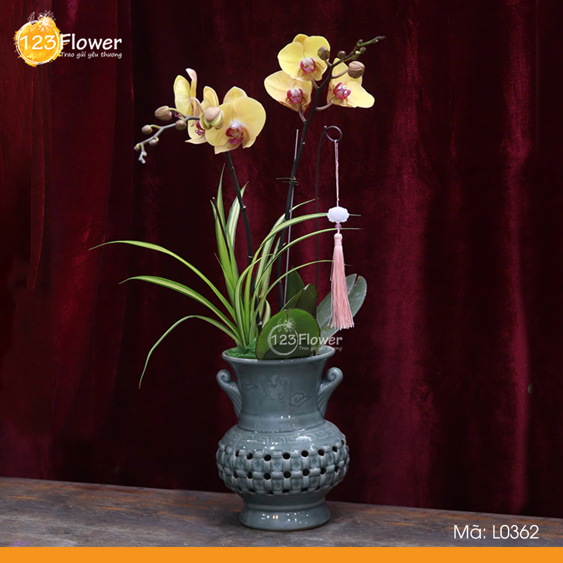 L0362 | Lan Hồ Điệp 362