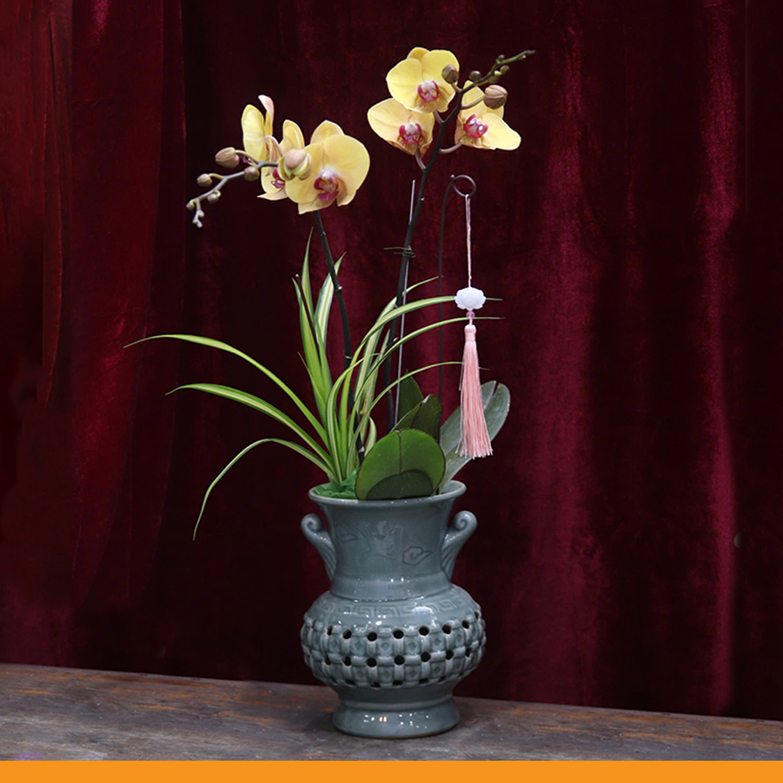 L0362 | Lan Hồ Điệp 362