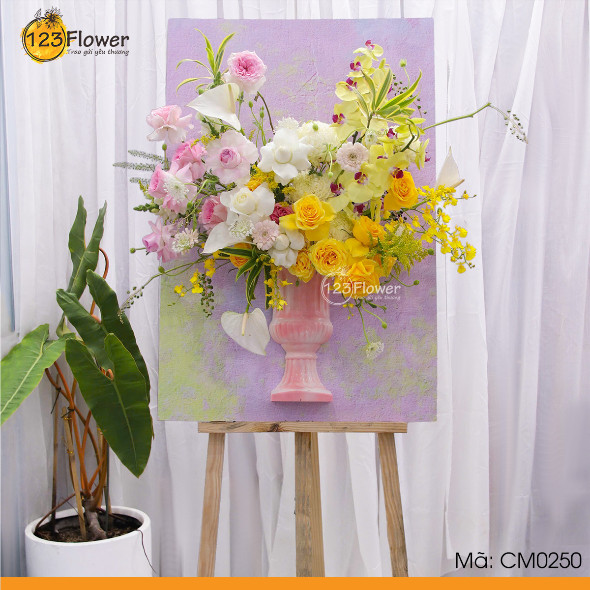 CM0250 | Kệ chúc mừng 250